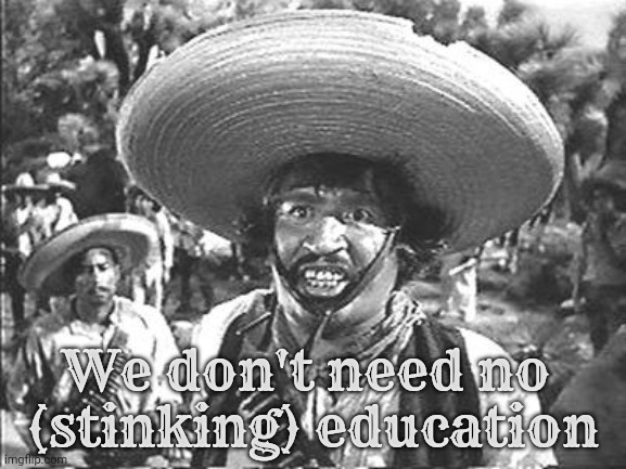 We Don't Need No Stinking | We don't need no 
(stinking) education | image tagged in we don't need no stinking | made w/ Imgflip meme maker