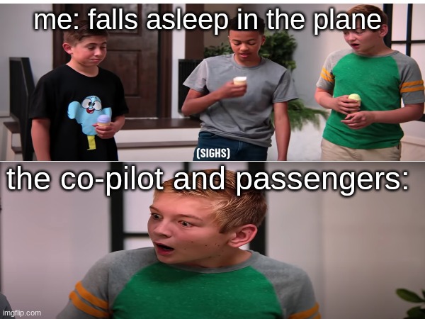 you can use this template | me: falls asleep in the plane; the co-pilot and passengers: | image tagged in dhar mann | made w/ Imgflip meme maker