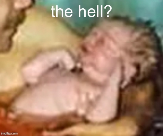 The hell? | image tagged in the hell | made w/ Imgflip meme maker