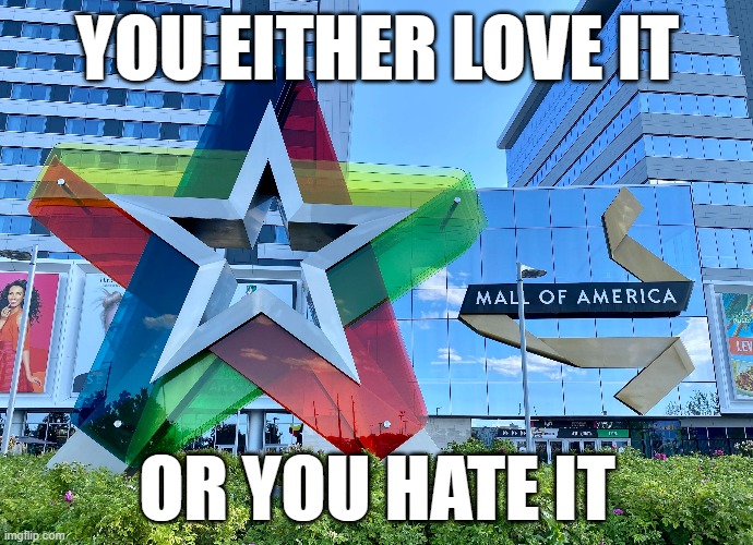 YOU EITHER LOVE IT; OR YOU HATE IT | made w/ Imgflip meme maker