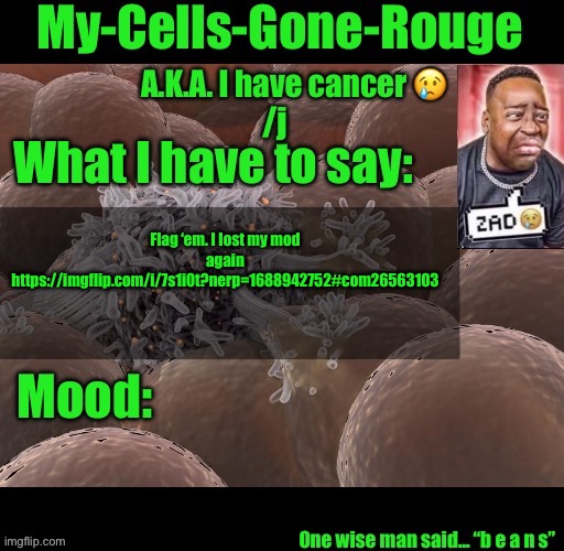 My-Cells-Gone-Rouge announcement | Flag ‘em. I lost my mod again
https://imgflip.com/i/7s1i0t?nerp=1688942752#com26563103 | image tagged in my-cells-gone-rouge announcement | made w/ Imgflip meme maker