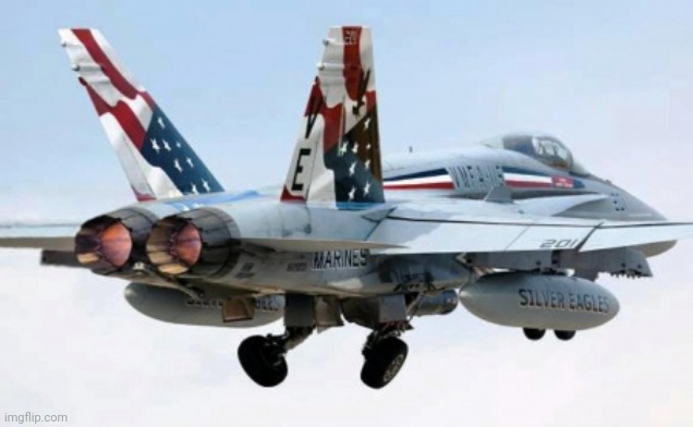 Inkperial Air Branch | image tagged in f-18 | made w/ Imgflip meme maker