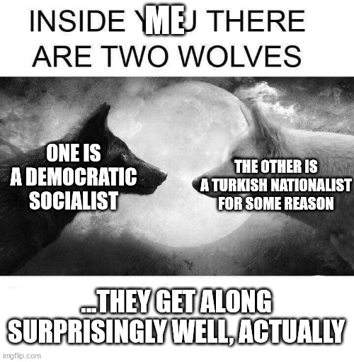 Me after playing one (1) game of HoI4 | ME; ONE IS A DEMOCRATIC SOCIALIST; THE OTHER IS A TURKISH NATIONALIST FOR SOME REASON; ...THEY GET ALONG SURPRISINGLY WELL, ACTUALLY | image tagged in inside you there are two wolves | made w/ Imgflip meme maker