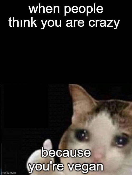 Cat ok | when people thınk you are crazy; because you're vegan | image tagged in cat ok | made w/ Imgflip meme maker