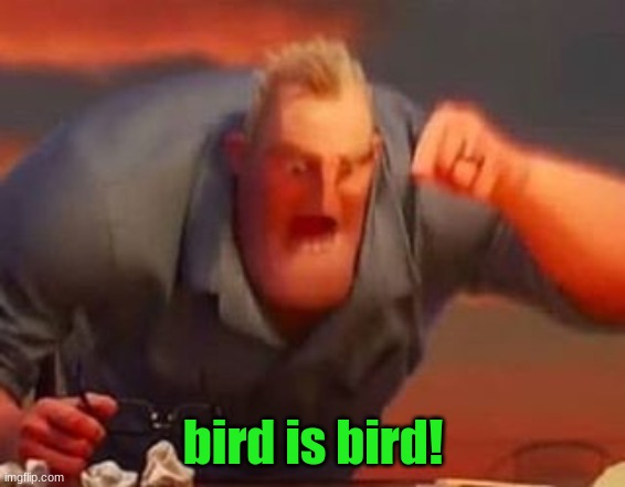 Mr incredible mad | bird is bird! | image tagged in mr incredible mad | made w/ Imgflip meme maker
