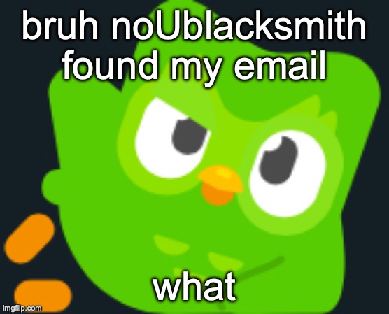 Duo rizz | bruh noUblacksmith found my email; what | image tagged in duo rizz | made w/ Imgflip meme maker