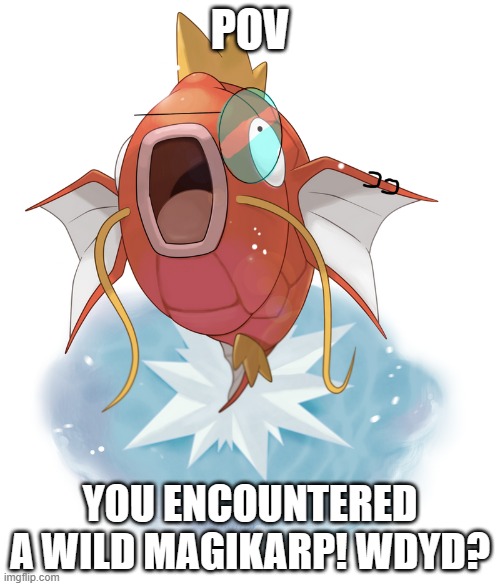 its this specific magikarp. this is the oc "i" am based off of so non of this is canonic lol | POV; YOU ENCOUNTERED A WILD MAGIKARP! WDYD? | made w/ Imgflip meme maker