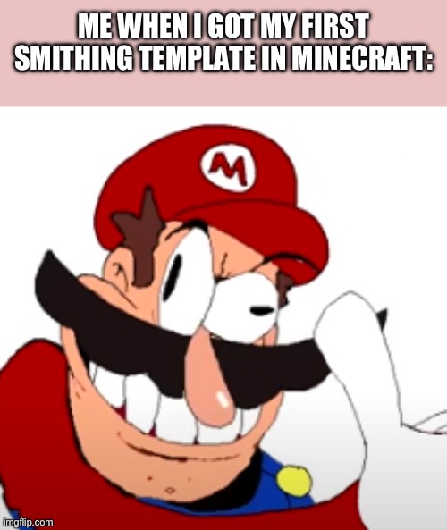 … | ME WHEN I GOT MY FIRST SMITHING TEMPLATE IN MINECRAFT: | image tagged in mario approves | made w/ Imgflip meme maker