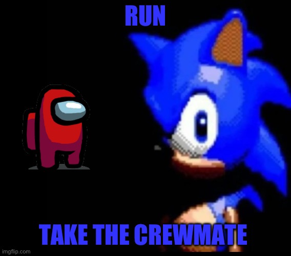 Brother… | RUN; TAKE THE CREWMATE | image tagged in sonic stares | made w/ Imgflip meme maker