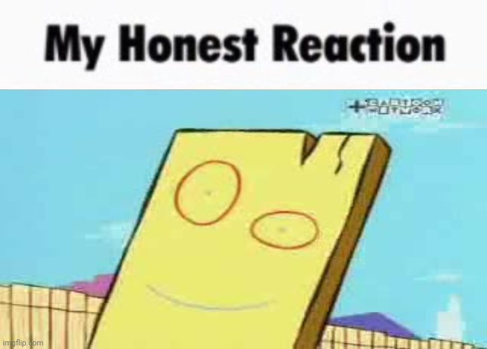 react | image tagged in my honest reaction | made w/ Imgflip meme maker