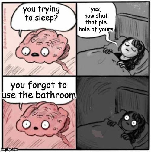 Brain Before Sleep | yes, now shut that pie hole of yours; you trying to sleep? you forgot to use the bathroom | image tagged in brain before sleep,relatable | made w/ Imgflip meme maker