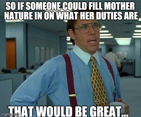 That Would Be Great | SO IF SOMEONE COULD FILL MOTHER NATURE IN ON WHAT HER DUTIES ARE THAT WOULD BE GREAT... | image tagged in memes,that would be great | made w/ Imgflip meme maker