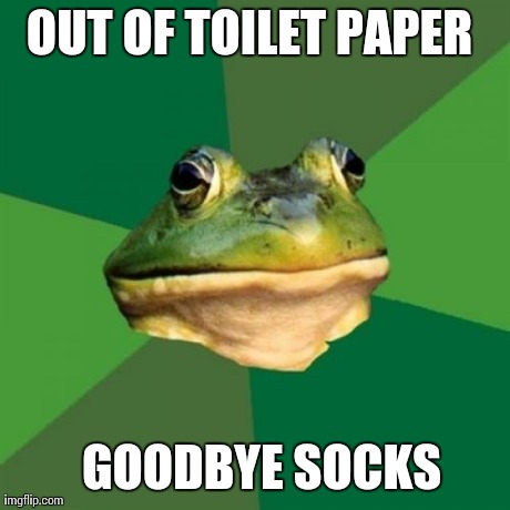 Foul Bachelor Frog | OUT OF TOILET PAPER GOODBYE SOCKS | image tagged in memes,foul bachelor frog | made w/ Imgflip meme maker