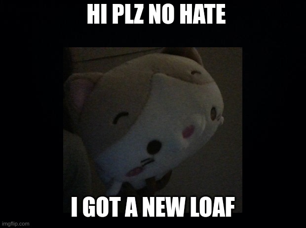 HI PLZ NO HATE; I GOT A NEW LOAF | image tagged in loaf,cat | made w/ Imgflip meme maker