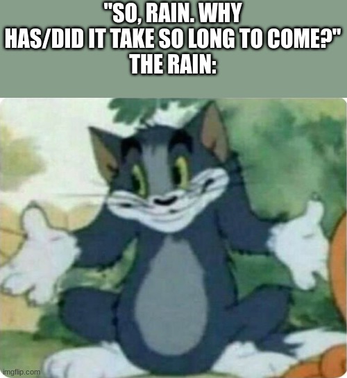 iykyk | "SO, RAIN. WHY HAS/DID IT TAKE SO LONG TO COME?"
THE RAIN: | image tagged in tom shrugging | made w/ Imgflip meme maker