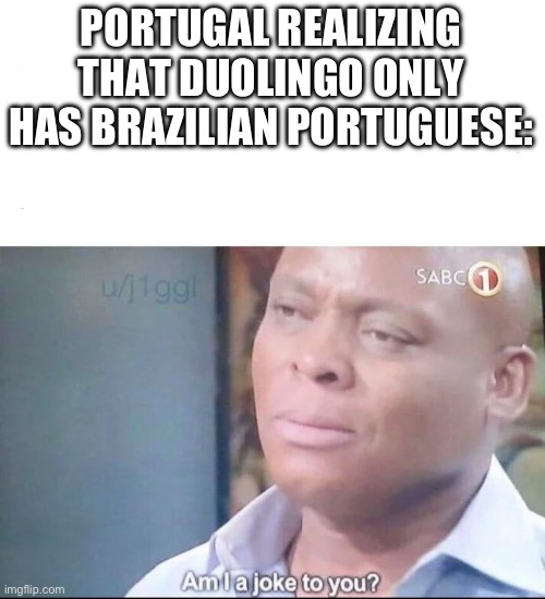 It’s why I switched languages | PORTUGAL REALIZING THAT DUOLINGO ONLY HAS BRAZILIAN PORTUGUESE: | image tagged in am i a joke to you,duolingo | made w/ Imgflip meme maker