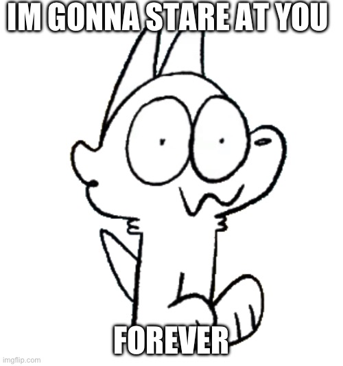 Staring Cat | IM GONNA STARE AT YOU; FOREVER | image tagged in staring cat | made w/ Imgflip meme maker