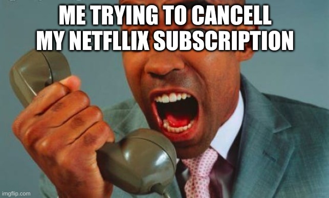 ME TRYING TO CANCELL MY NETFLLIX SUBSCRIPTION | made w/ Imgflip meme maker