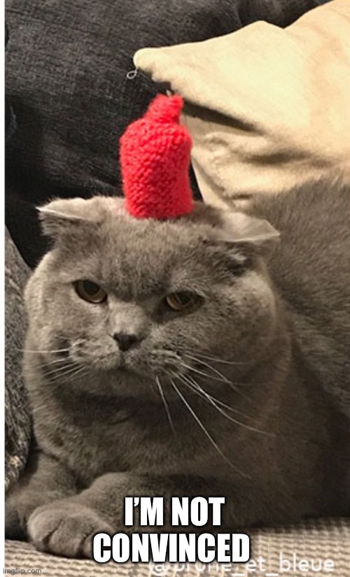 Not convinced cat | I’M NOT CONVINCED | image tagged in not convinced cat | made w/ Imgflip meme maker