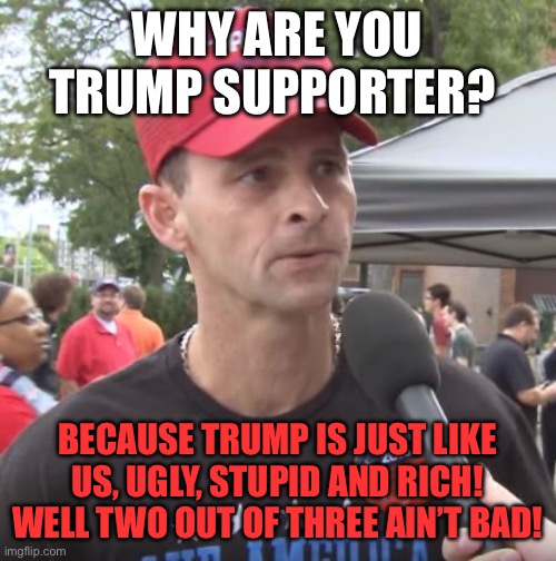 Trump supporter | WHY ARE YOU TRUMP SUPPORTER? BECAUSE TRUMP IS JUST LIKE US, UGLY, STUPID AND RICH! WELL TWO OUT OF THREE AIN’T BAD! | image tagged in trump supporter | made w/ Imgflip meme maker