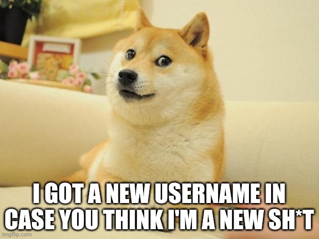 Doge 2 Meme | I GOT A NEW USERNAME IN CASE YOU THINK I'M A NEW SH*T | image tagged in memes,doge 2 | made w/ Imgflip meme maker