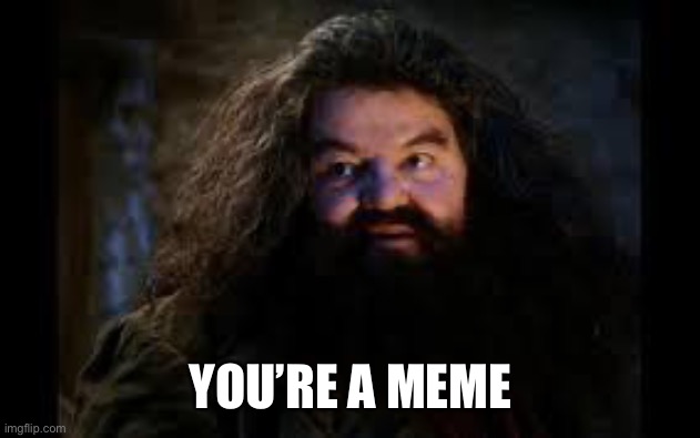 hagrid yer a wizard | YOU’RE A MEME | image tagged in hagrid yer a wizard | made w/ Imgflip meme maker