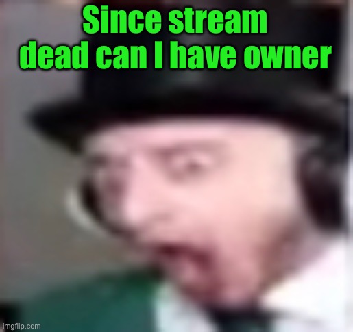 suprised | Since stream dead can I have owner | image tagged in suprised | made w/ Imgflip meme maker