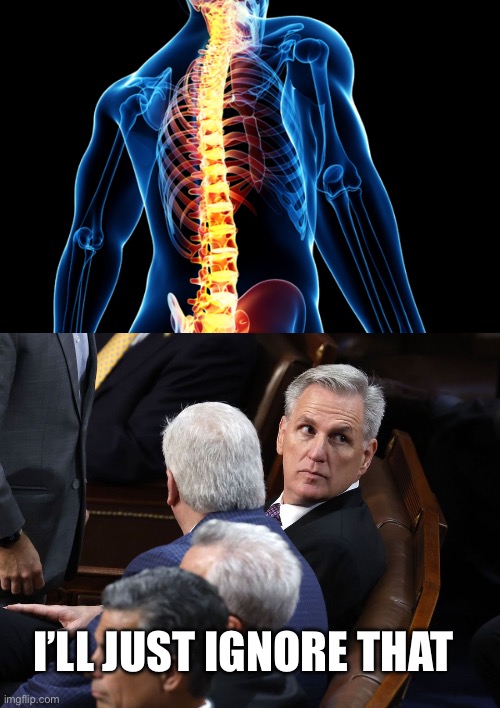 I’LL JUST IGNORE THAT | image tagged in spine,kevin the coward mccarthy | made w/ Imgflip meme maker