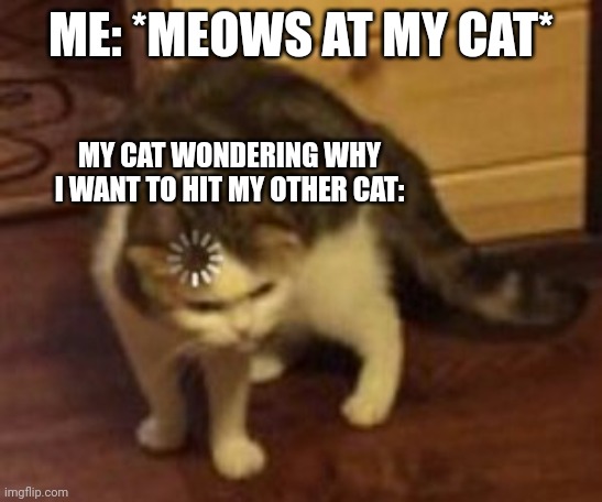 Loading cat | ME: *MEOWS AT MY CAT*; MY CAT WONDERING WHY I WANT TO HIT MY OTHER CAT: | image tagged in loading cat,cats | made w/ Imgflip meme maker