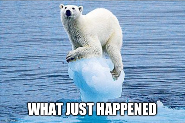 POLAR BEARS ARE IN DANGER | WHAT JUST HAPPENED | image tagged in polar bears are in danger | made w/ Imgflip meme maker