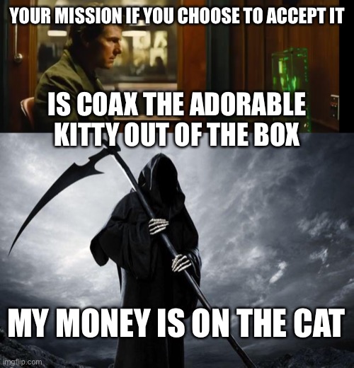 YOUR MISSION IF YOU CHOOSE TO ACCEPT IT IS COAX THE ADORABLE KITTY OUT OF THE BOX MY MONEY IS ON THE CAT | image tagged in your mission should you chose to accept it,death | made w/ Imgflip meme maker