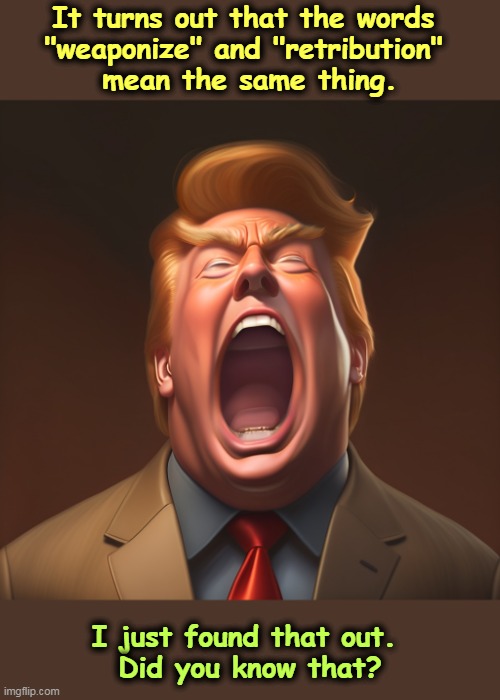 But his boxes! | It turns out that the words 
"weaponize" and "retribution" 

mean the same thing. I just found that out. 
Did you know that? | image tagged in donald trump with his big mouth open again in a scream,weaponize,retribution,revenge,donald trump,scream | made w/ Imgflip meme maker