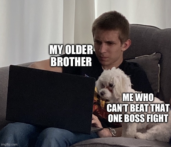 Literally me playin games on my laptop and my dog sat next to me | MY OLDER BROTHER; ME WHO CAN’T BEAT THAT ONE BOSS FIGHT | image tagged in kid and dog with laptop | made w/ Imgflip meme maker