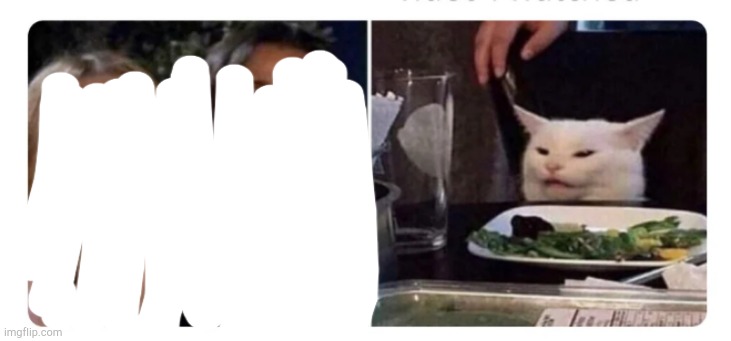 Cat on a plate | image tagged in cat on a plate | made w/ Imgflip meme maker