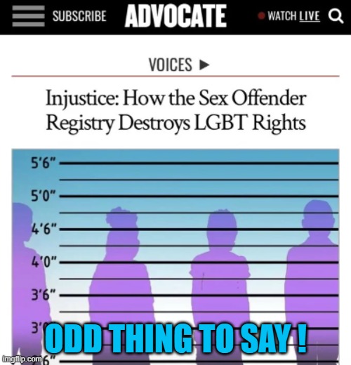 just odd to say | ODD THING TO SAY ! | image tagged in pedophile,pedo,pedophiles,media,journalism,news | made w/ Imgflip meme maker