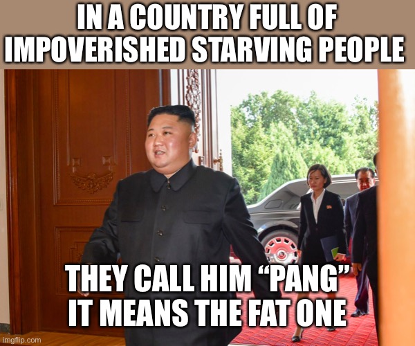 Rules for thee, but not for me. The commies promise the world to the masses. | IN A COUNTRY FULL OF IMPOVERISHED STARVING PEOPLE; THEY CALL HIM “PANG”
IT MEANS THE FAT ONE | image tagged in communism,failed,pang,noko,kim jung un,fat one | made w/ Imgflip meme maker