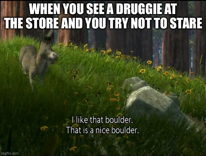 Shrek Donkey I like that boulder. that is a nice boulder. | WHEN YOU SEE A DRUGGIE AT THE STORE AND YOU TRY NOT TO STARE | image tagged in shrek donkey i like that boulder that is a nice boulder | made w/ Imgflip meme maker