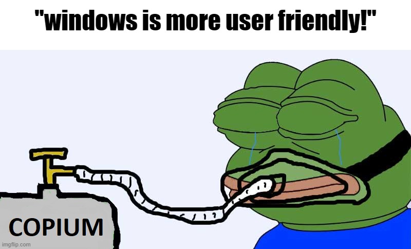 Pepe Copium | "windows is more user friendly!" | image tagged in pepe copium | made w/ Imgflip meme maker