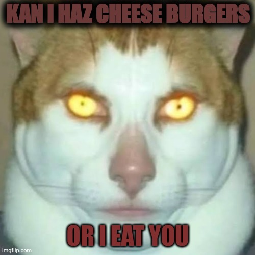 Sigma Cat | KAN I HAZ CHEESE BURGERS; OR I EAT YOU | image tagged in sigma cat | made w/ Imgflip meme maker