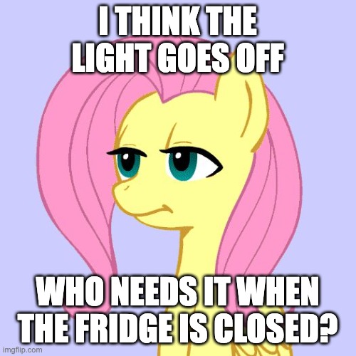 tired of your crap | I THINK THE LIGHT GOES OFF WHO NEEDS IT WHEN THE FRIDGE IS CLOSED? | image tagged in tired of your crap | made w/ Imgflip meme maker