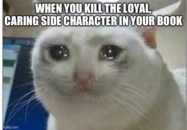 Writer memes | WHEN YOU KILL THE LOYAL, CARING SIDE CHARACTER IN YOUR BOOK | image tagged in crying cat | made w/ Imgflip meme maker