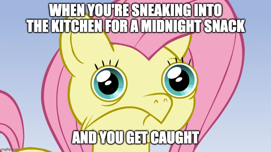 Uncomfortable Fluttershy | WHEN YOU'RE SNEAKING INTO THE KITCHEN FOR A MIDNIGHT SNACK; AND YOU GET CAUGHT | image tagged in uncomfortable fluttershy,memes,midnight snack,family,busted | made w/ Imgflip meme maker