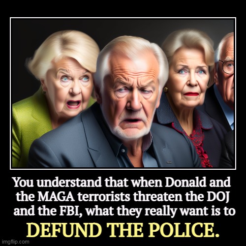 Only this police is more important. | You understand that when Donald and 
the MAGA terrorists threaten the DOJ
 and the FBI, what they really want is to | DEFUND THE POLICE. | image tagged in funny,demotivationals,donald trump,doj,fbi,defund the police | made w/ Imgflip demotivational maker