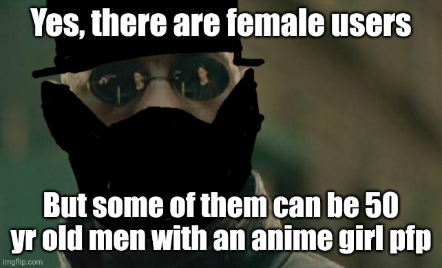 Matrix Morpheus Meme | Yes, there are female users But some of them can be 50 yr old men with an anime girl pfp | image tagged in memes,matrix morpheus | made w/ Imgflip meme maker