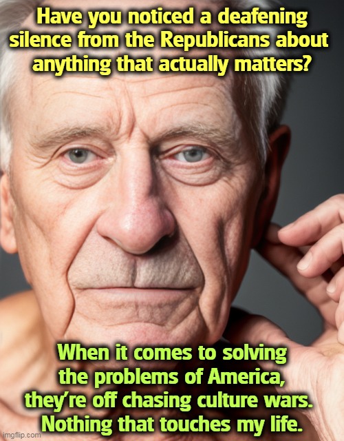 Have you noticed a deafening silence from the Republicans about 
anything that actually matters? When it comes to solving the problems of America, they're off chasing culture wars. 
Nothing that touches my life. | image tagged in republican party,gop,empty,ideas,problems,culture | made w/ Imgflip meme maker