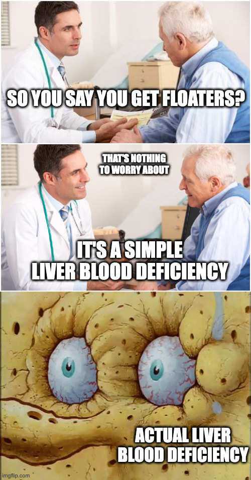 Liver Blood Deficiency | SO YOU SAY YOU GET FLOATERS? THAT'S NOTHING TO WORRY ABOUT; IT'S A SIMPLE LIVER BLOOD DEFICIENCY; ACTUAL LIVER BLOOD DEFICIENCY | image tagged in doctor and patient | made w/ Imgflip meme maker