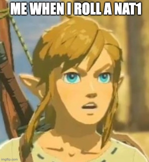 My honest reaction | ME WHEN I ROLL A NAT1 | image tagged in offended link | made w/ Imgflip meme maker