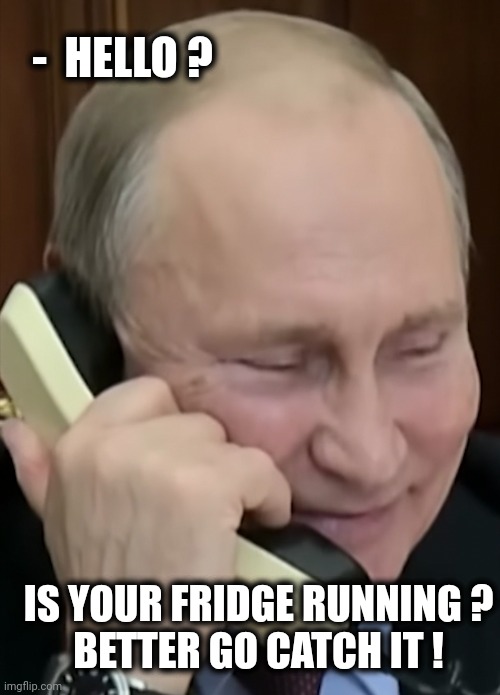 Putin | -  HELLO ? IS YOUR FRIDGE RUNNING ?
BETTER GO CATCH IT ! | image tagged in putin | made w/ Imgflip meme maker