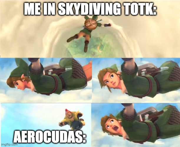Why are aerocudas so annoying | ME IN SKYDIVING TOTK:; AEROCUDAS: | image tagged in link falling,legend of zelda | made w/ Imgflip meme maker