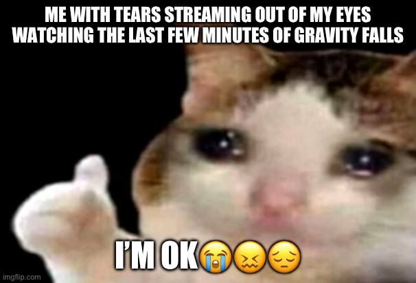 That got my emotions rollin man | ME WITH TEARS STREAMING OUT OF MY EYES WATCHING THE LAST FEW MINUTES OF GRAVITY FALLS; I’M OK😭😖😔 | image tagged in sad cat thumbs up,gravity falls is over,gravity falls,gravity falls last episode,im ok,crying | made w/ Imgflip meme maker